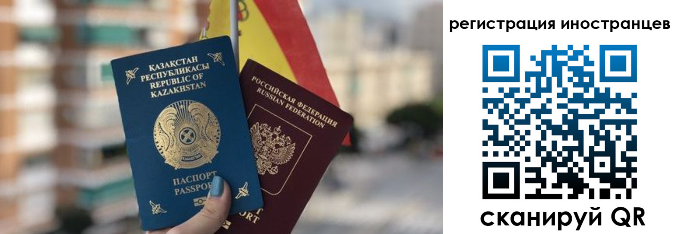 прописка паспорт в Тимашёвске